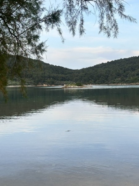img-property