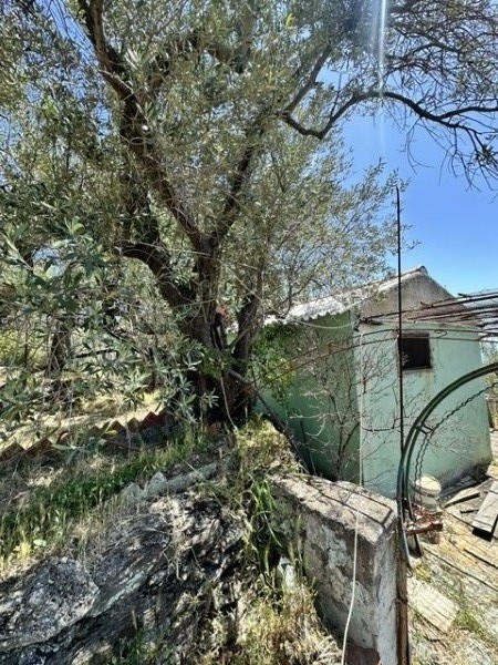 img-property