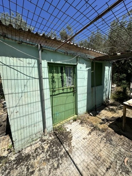 img-property