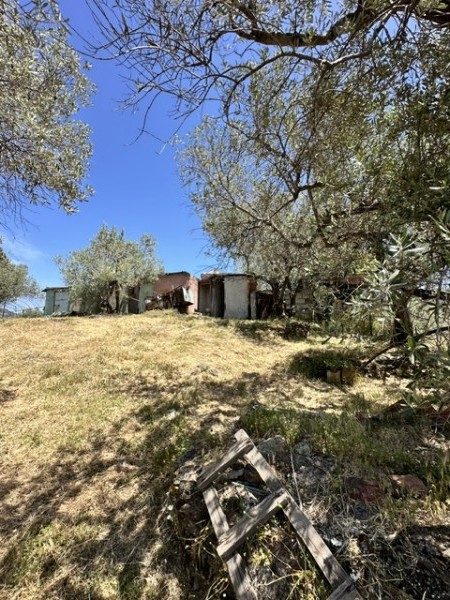 img-property