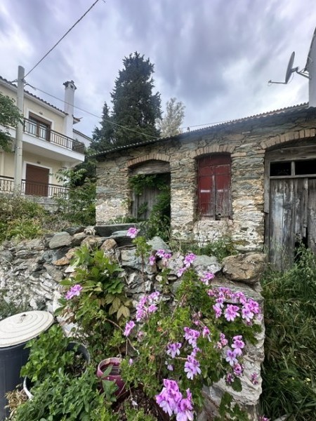 img-property