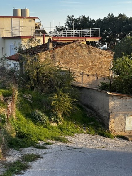 img-property