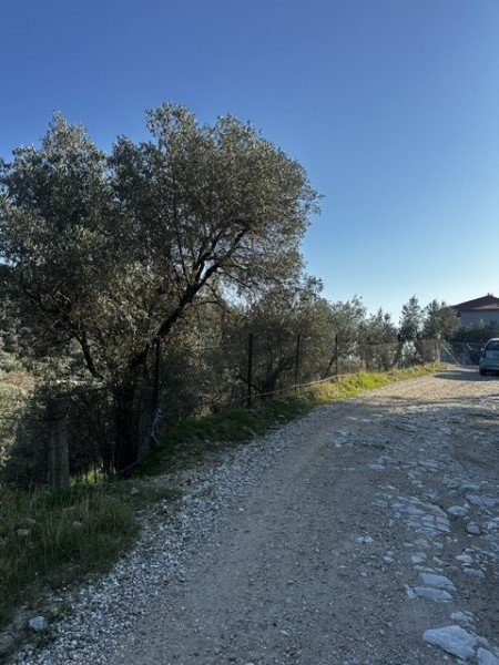 img-property
