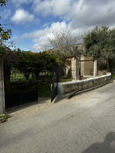 img-property