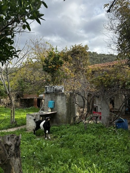 img-property