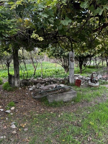 img-property