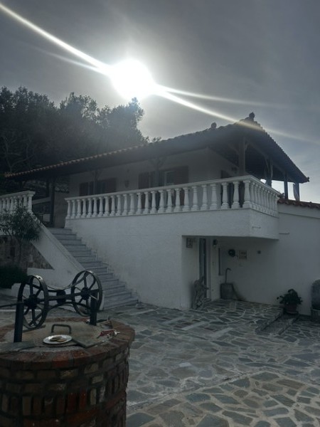 img-property