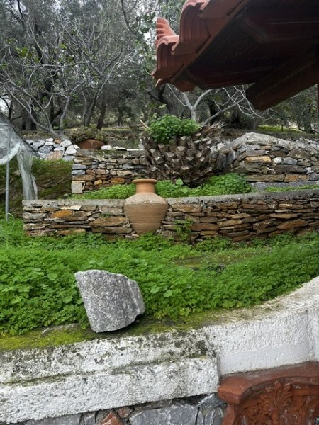 img-property