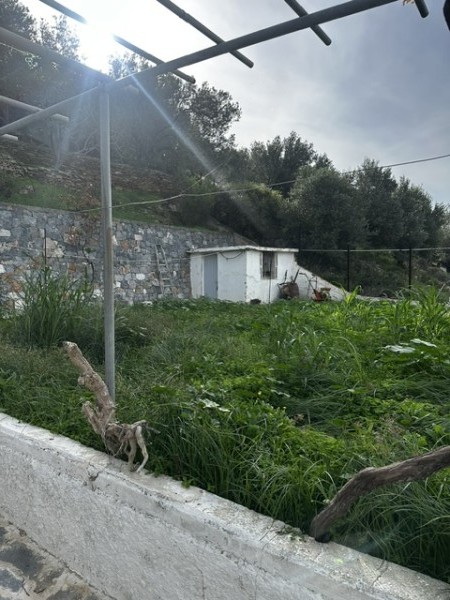 img-property