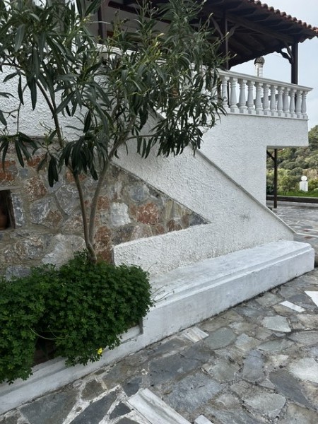 img-property