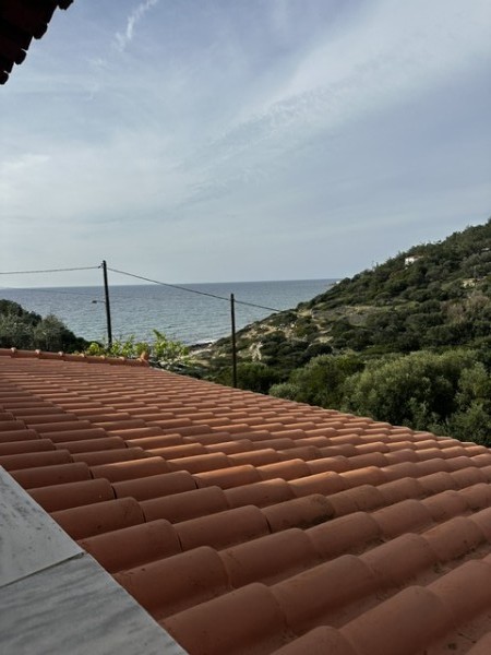 img-property