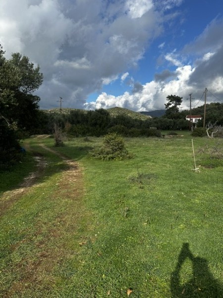 img-property
