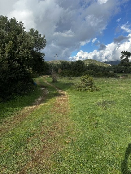img-property