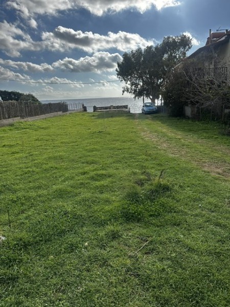 img-property
