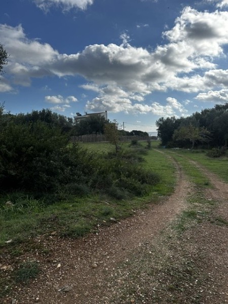 img-property