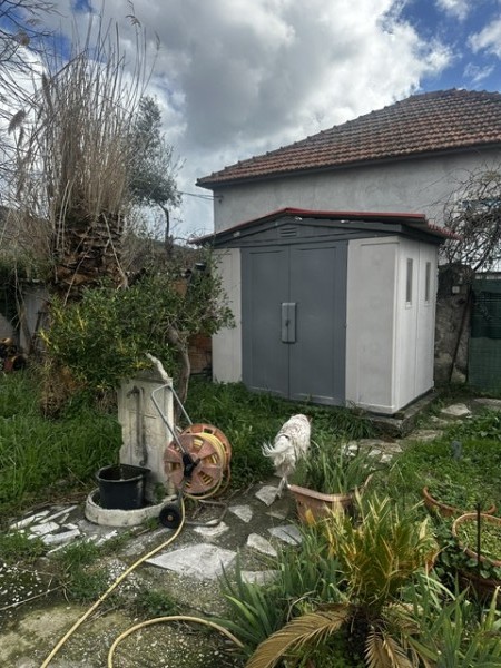 img-property