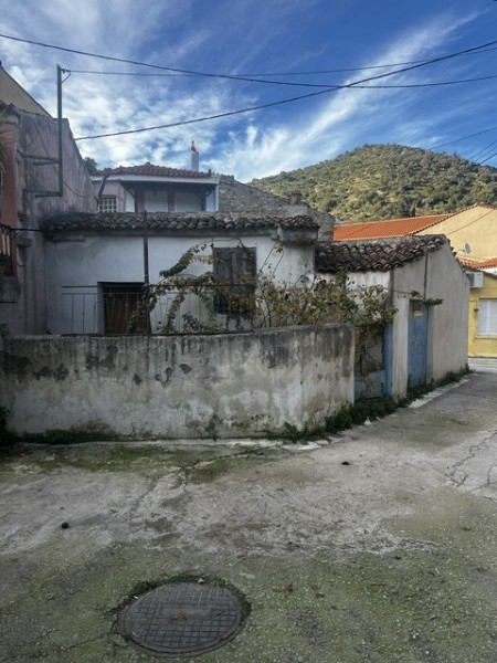 img-property