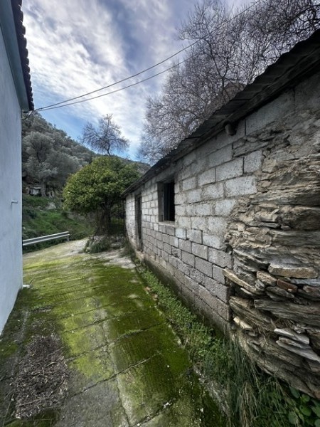 img-property