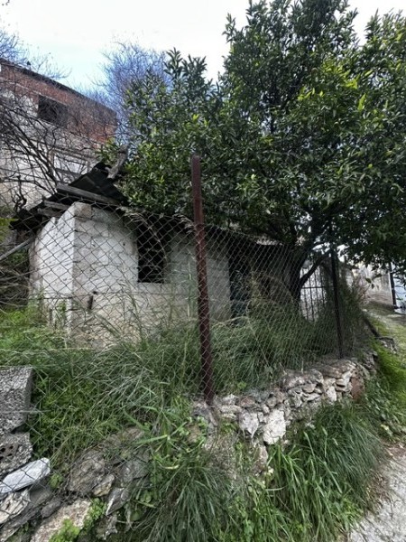 img-property