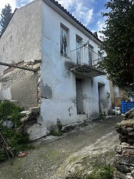 img-property
