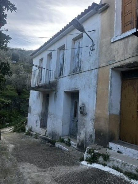 img-property