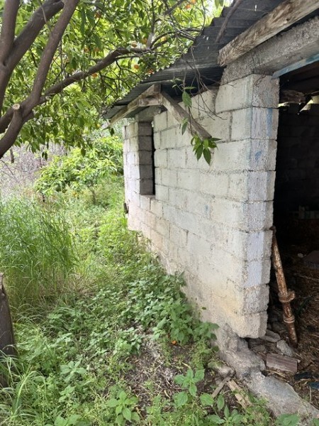 img-property