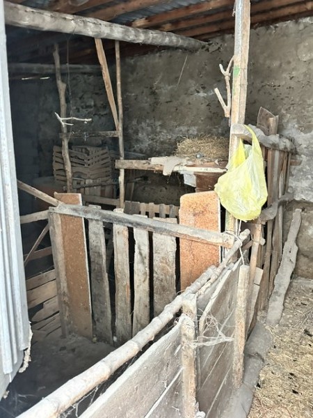 img-property