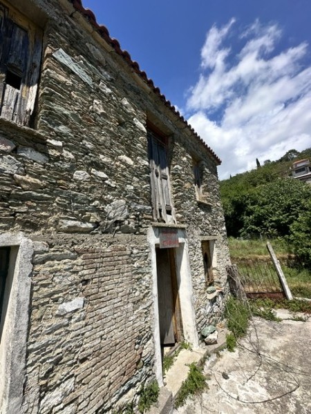 img-property