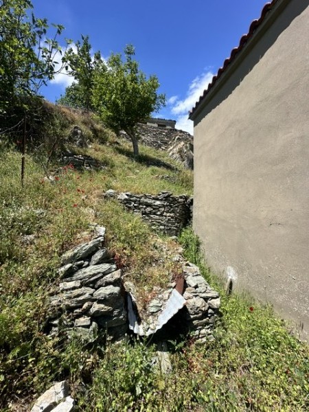 img-property