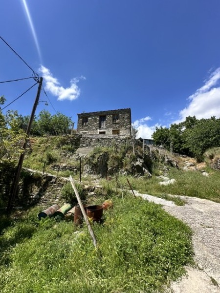 img-property