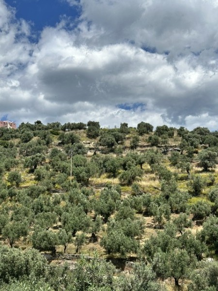 img-property