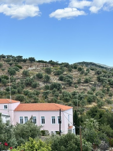 img-property