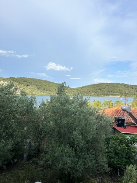 img-property