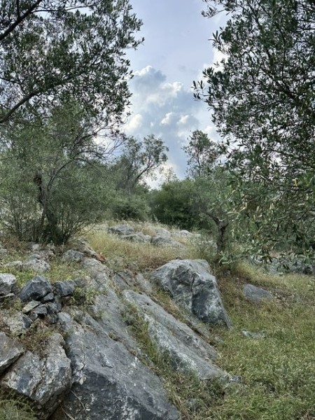 img-property