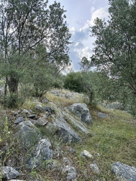 img-property