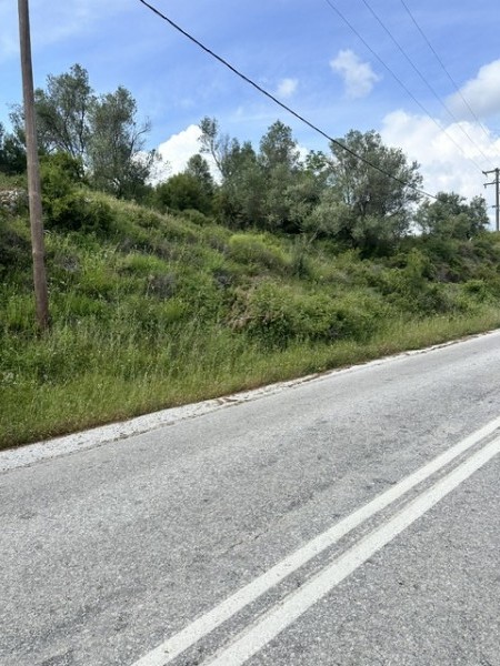 img-property
