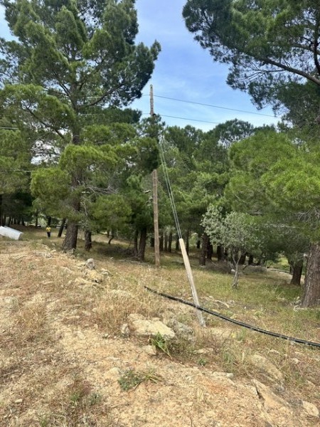 img-property