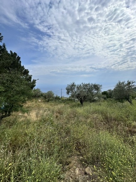 img-property