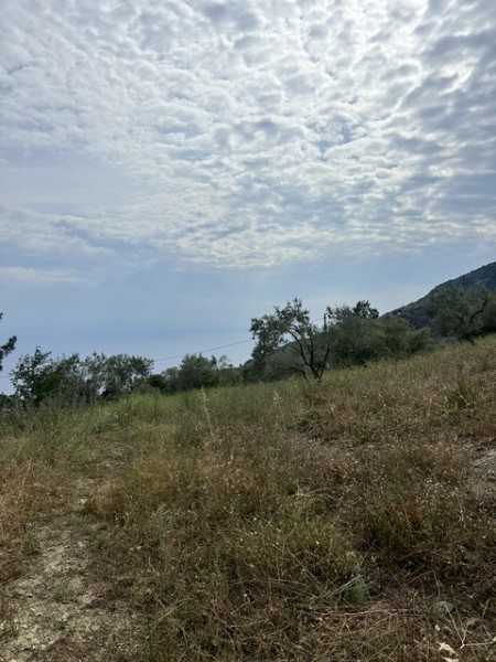 img-property
