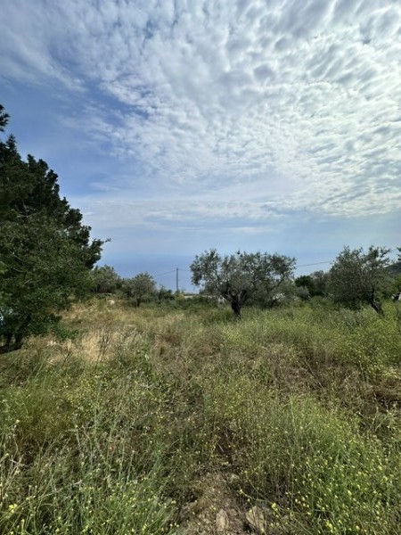 img-property