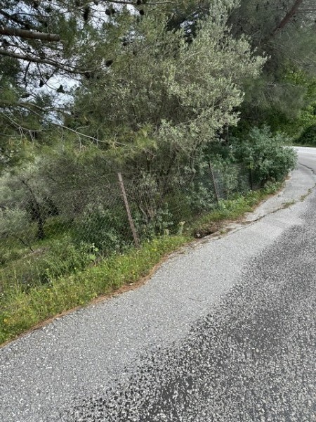img-property