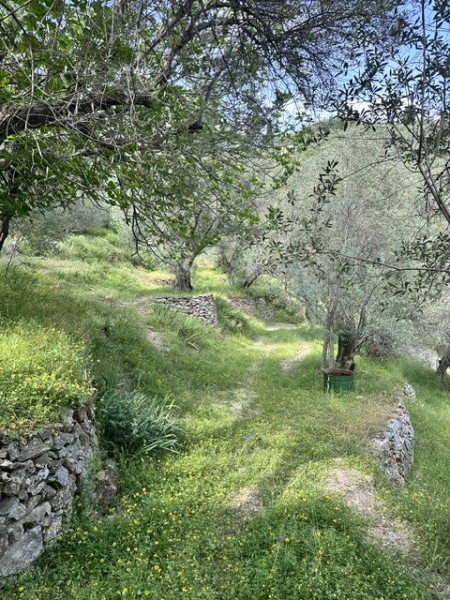 img-property
