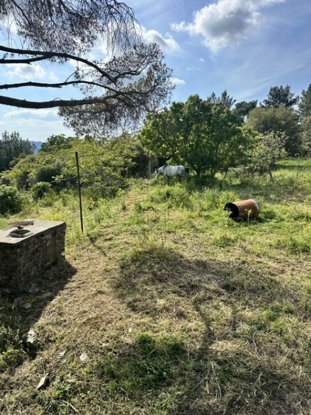 img-property