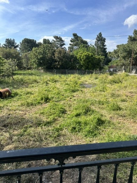 img-property