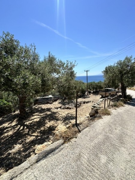 img-property