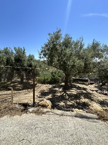 img-property