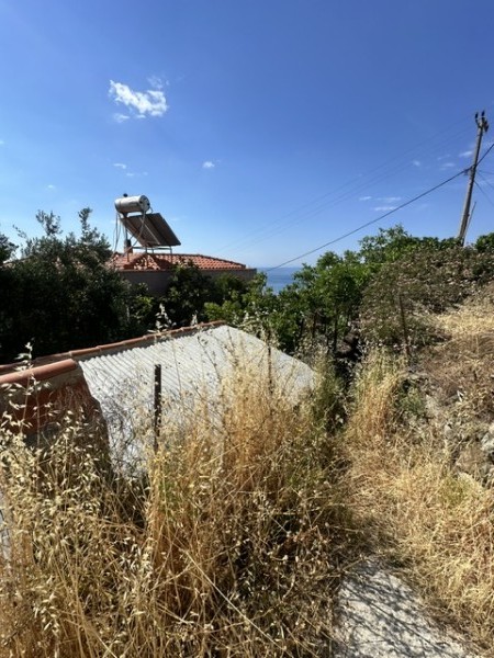 img-property