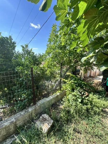 img-property