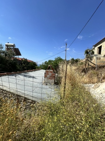 img-property