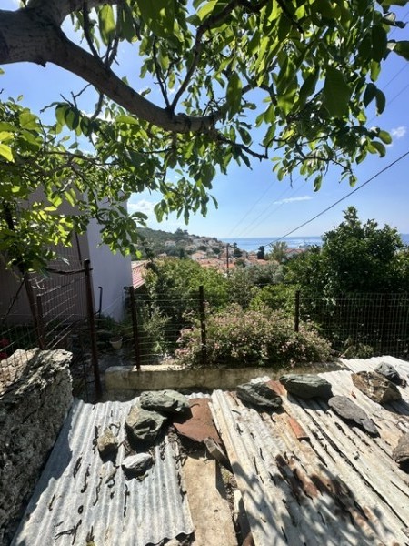 img-property